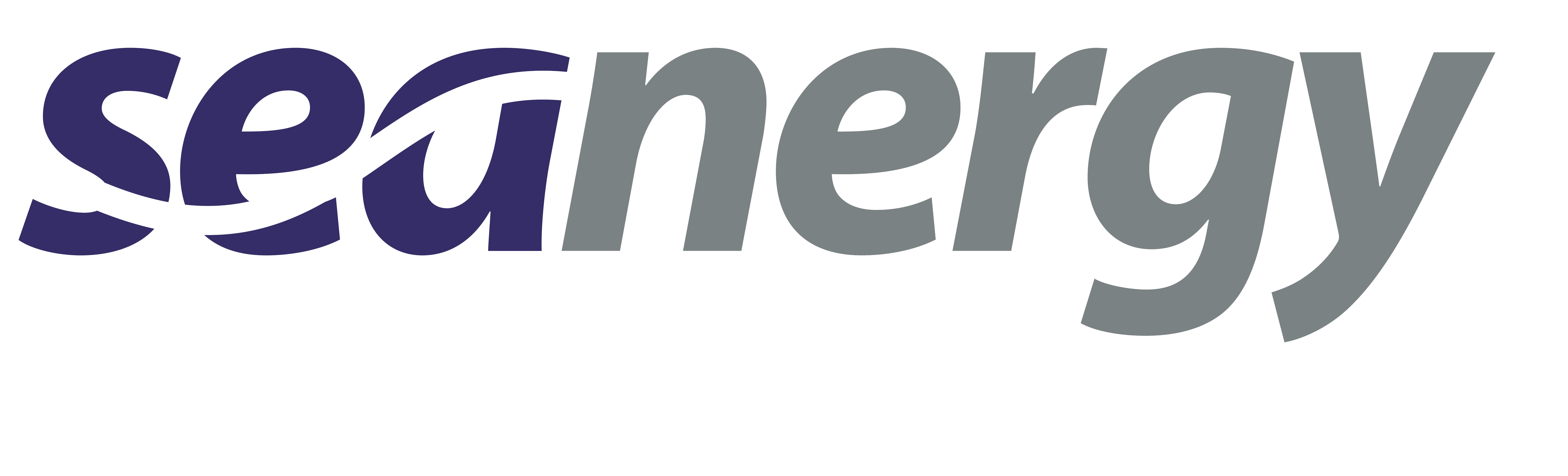 SEANERGY 